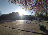 Campo da Pallacanestro/Scalo thumb 7